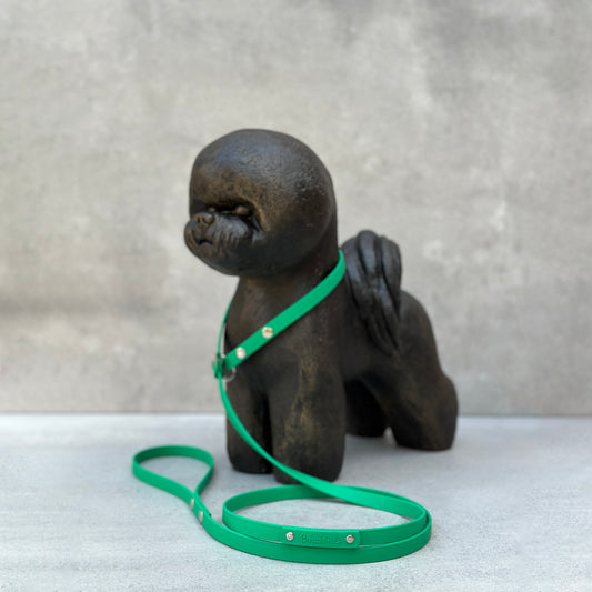 Green BioThane® Loop Leash