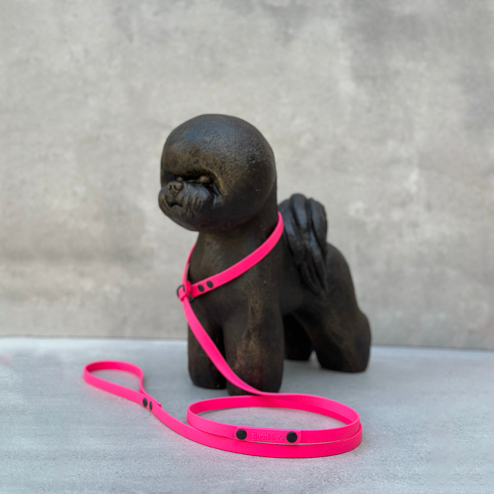 Pink BioThane® Loop Leash