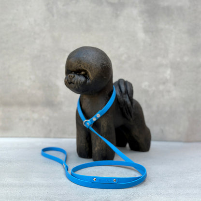 Blue BioThane® Loop Leash