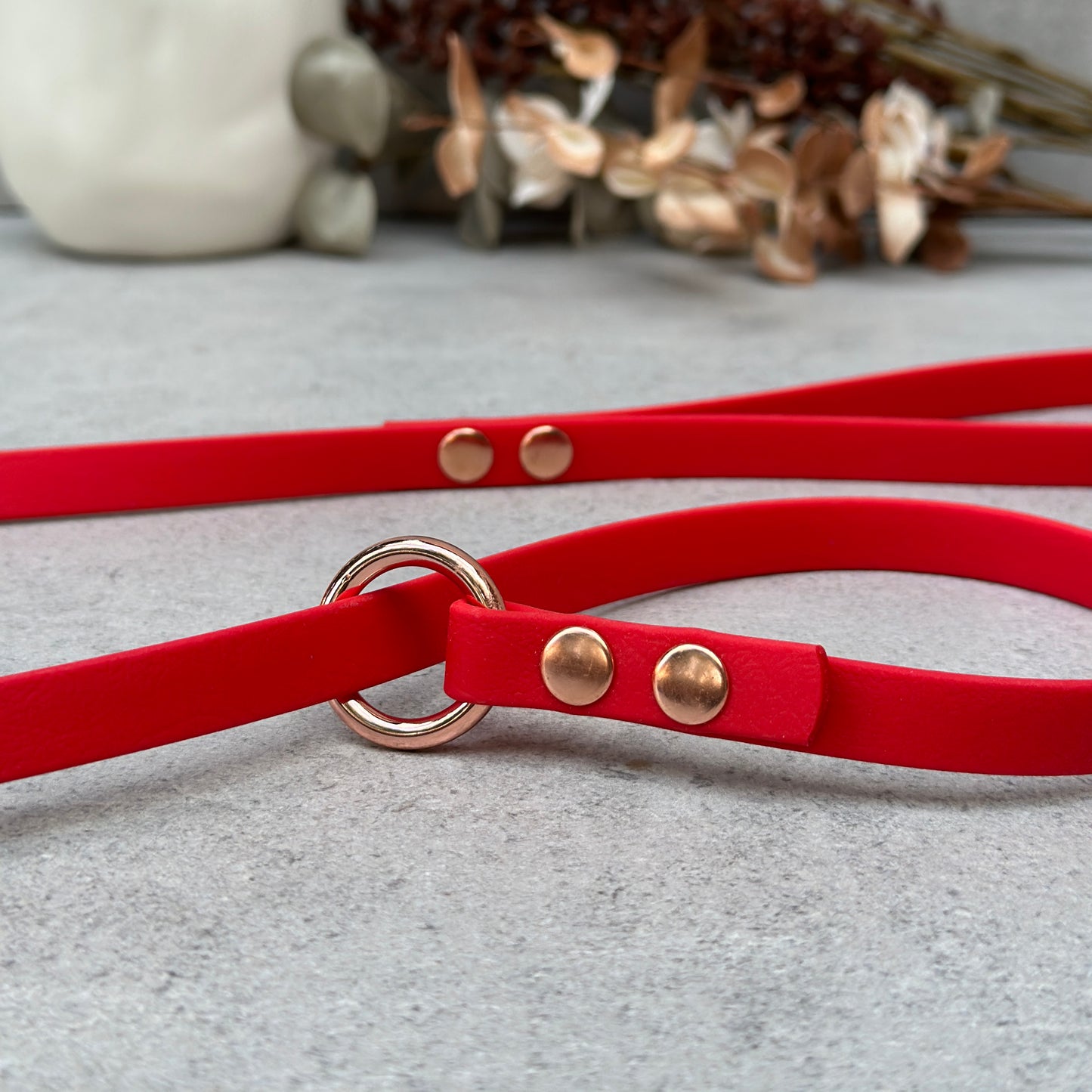 Red BioThane® Loop Leash