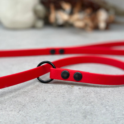 Red BioThane® Loop Leash