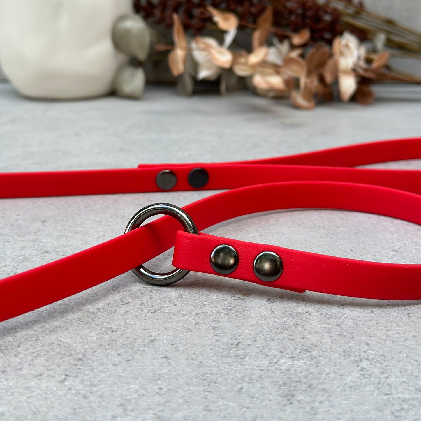 Red BioThane® Loop Leash