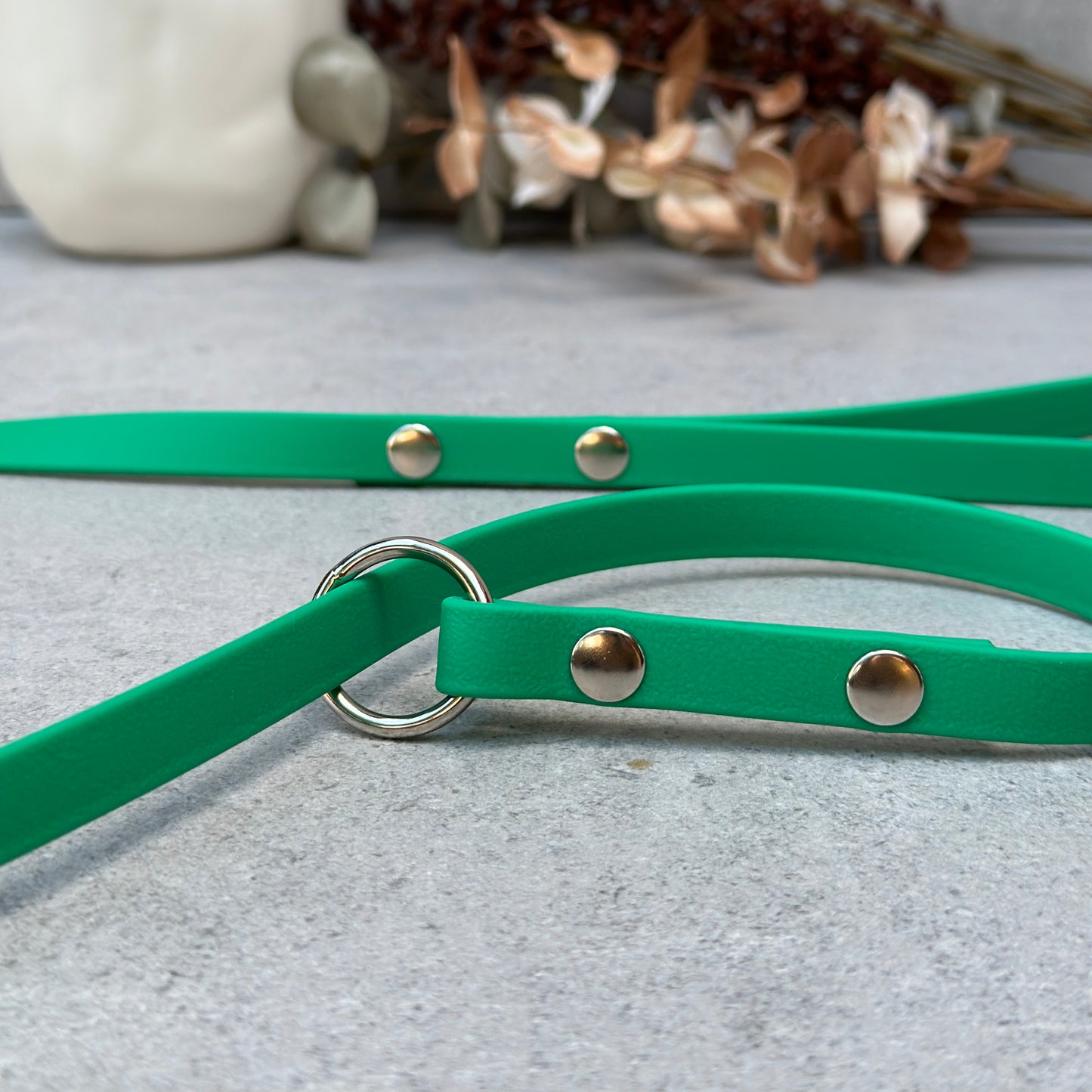 Green BioThane® Loop Leash