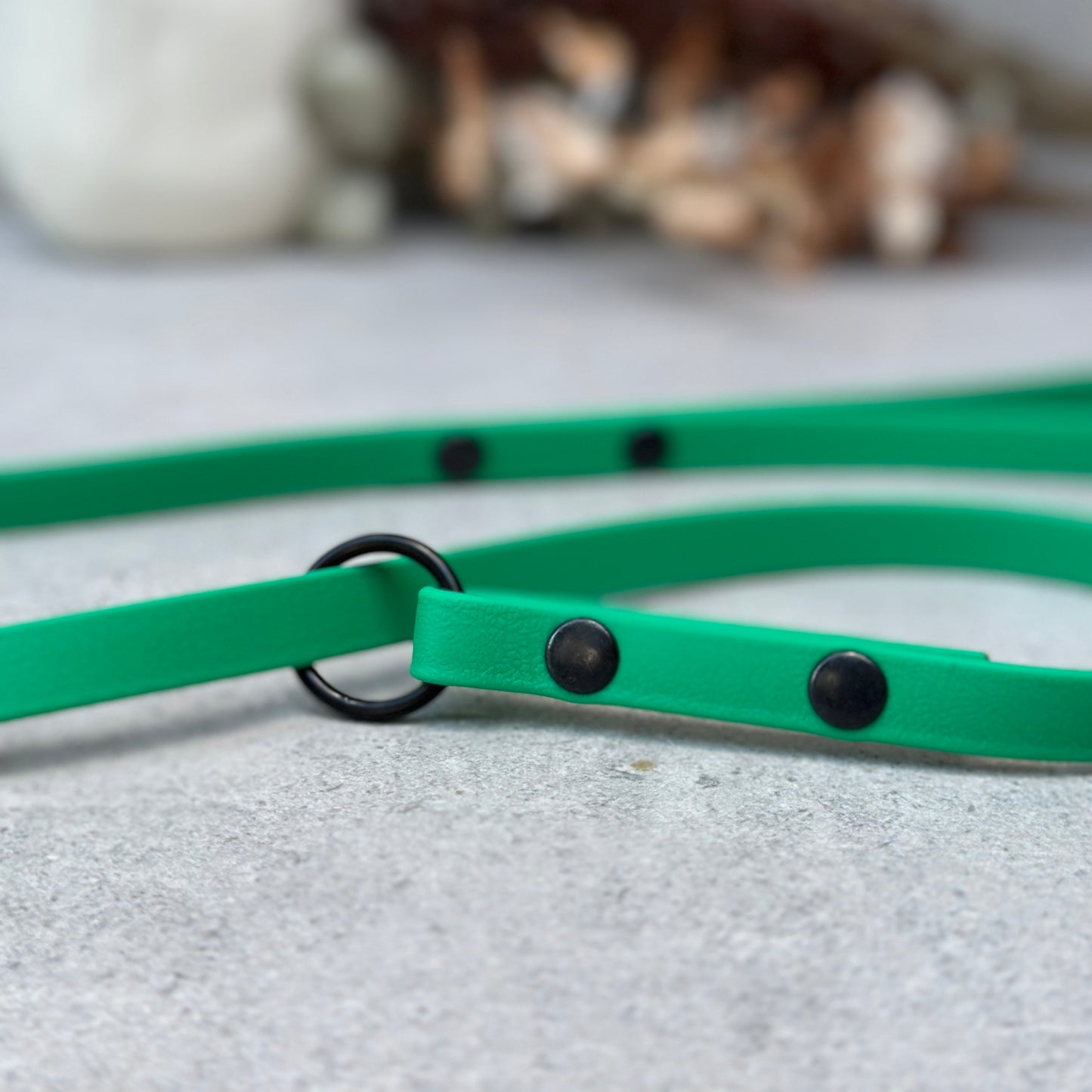 Green BioThane® Loop Leash