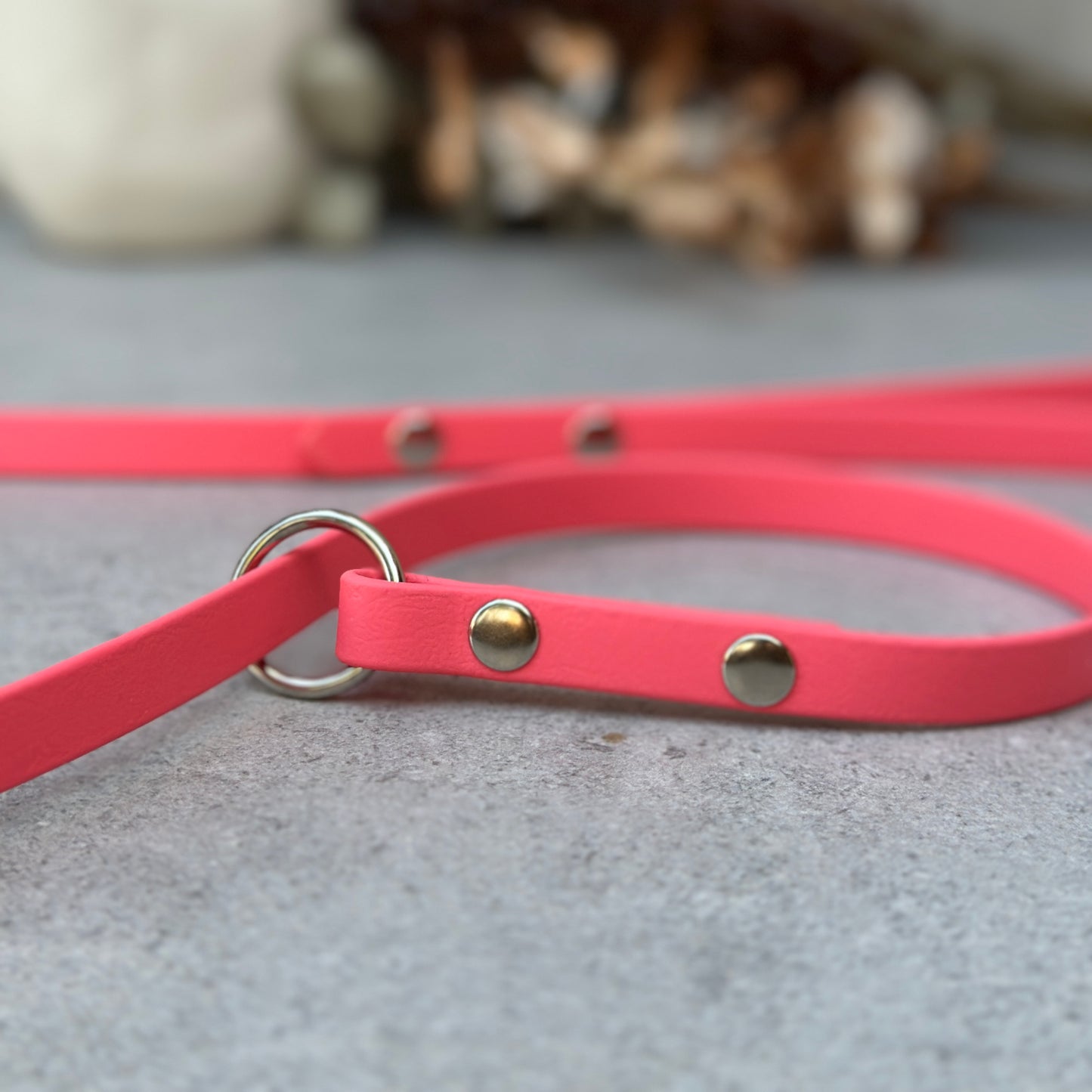 Lobster BioThane® Loop Leash