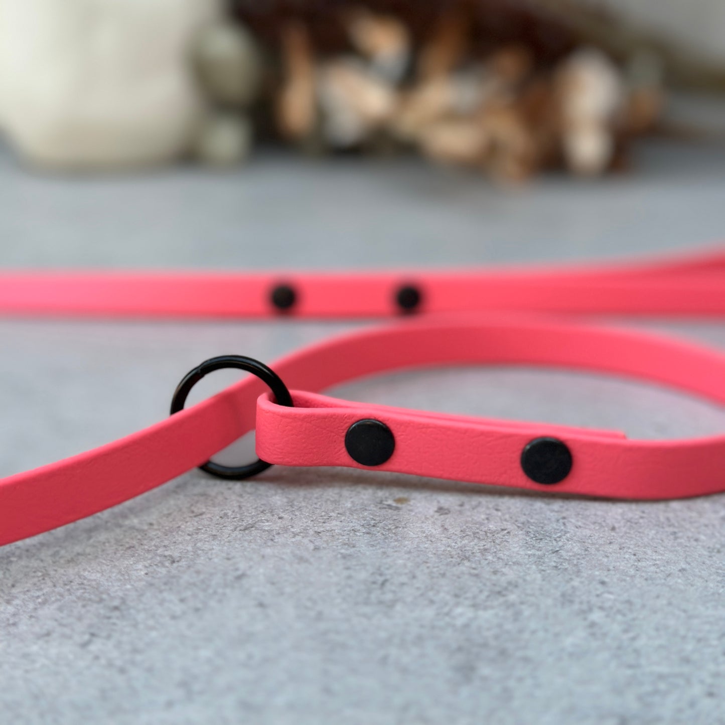 Lobster BioThane® Loop Leash