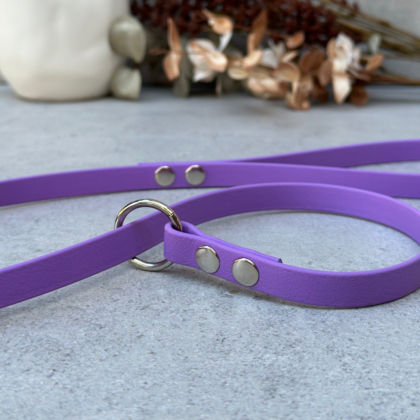 Lavander BioThane® Loop Leash