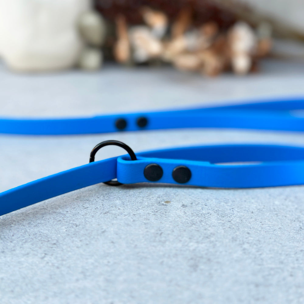 Blue BioThane® Loop Leash