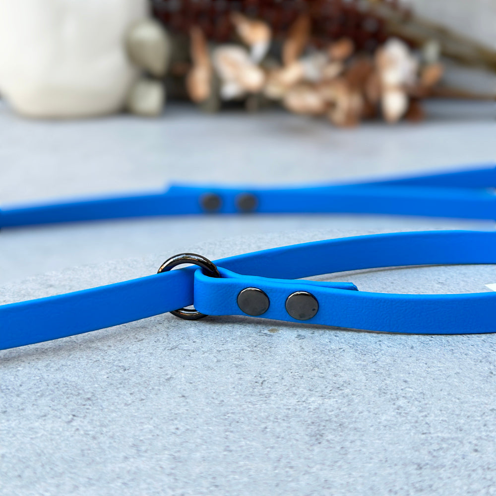 Blue BioThane® Loop Leash