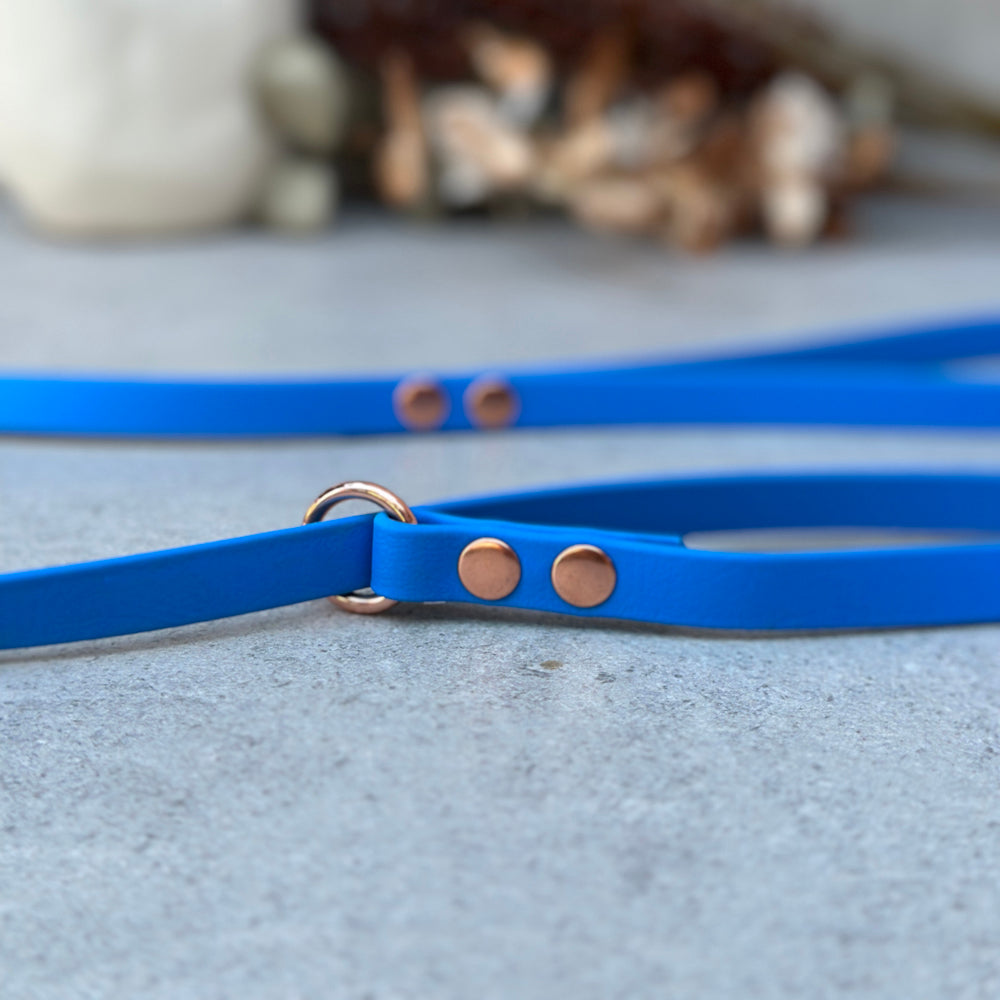 Blue BioThane® Loop Leash